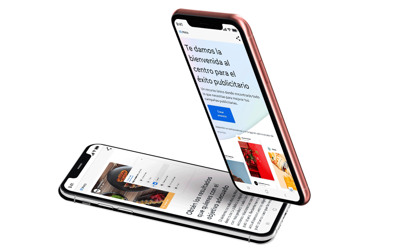 iPhone app
            preferences selection screen