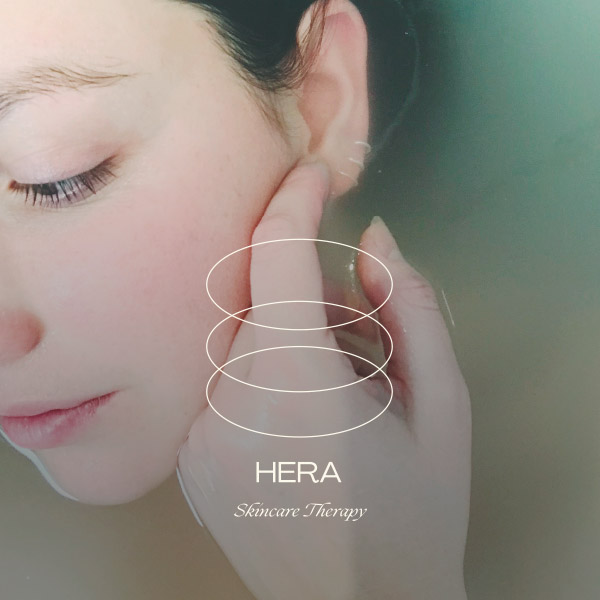 imagen desarrollo web