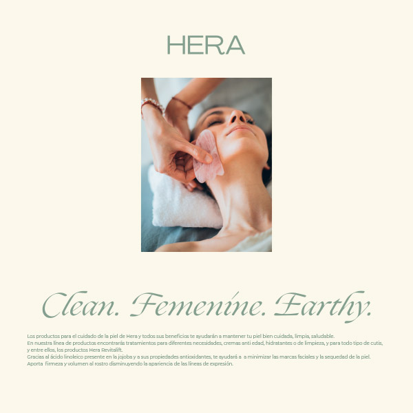 Imagen desarrollo web